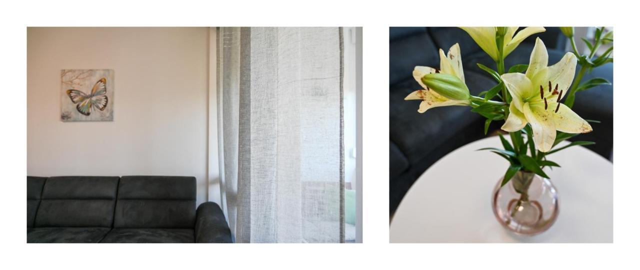 Apartman Armando Zadar Eksteriør bilde